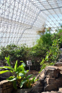 Overlooking the Marsh Biome at the Biosphere 2 Center. Photo taken by Michael Aaron Gallagher in 2019.