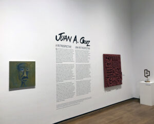 Juan Cruz exhibit at The Everson museum of art