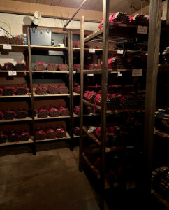 Bundles of cigars in the humidor at JC Newman Cigar Company by Michael Aaron Gallagher