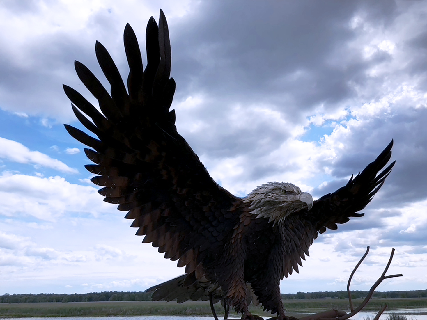 Bald Eagle Steel Sculpture by Jay Seaman at Montezuma National Wildlife Refuge in New York by Michael Aaron Gallagher