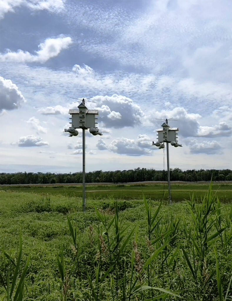 Bird houses at Montezuma National Wildlife Refuge in New York by Michael Aaron Gallagher