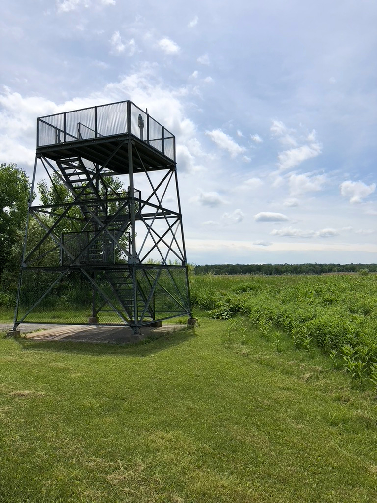 Lookout Tower at Montezuma National Wildlife Refuge in New York by Michael Aaron Gallagher