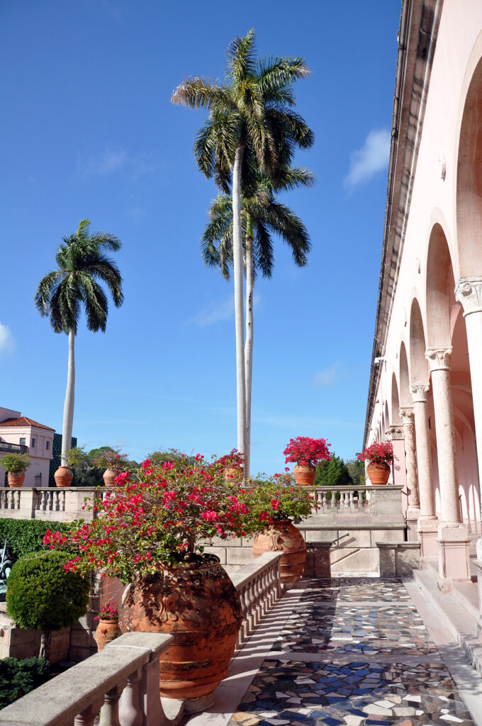 Palm trees in the courtyard at Ca' d'Zan by Michael Aaron Gallagher